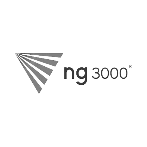 Ng3000-Gris.png